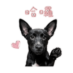 賴黑糖ㄉ貼圖③