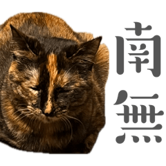 akioh_20260512223215
