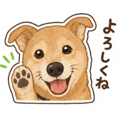Koooo_20260512222923