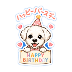 mipua_20260512222804