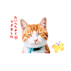 yomogi_20260513000251