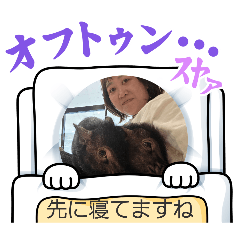 non_20260512233715