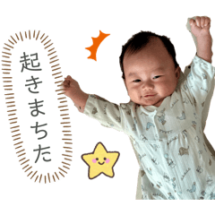 moyo_20260512223319