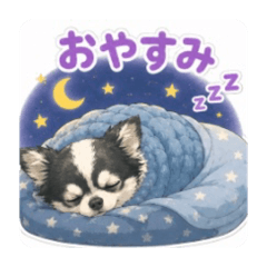 kacha_20260513000648
