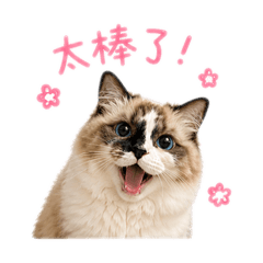 可愛咘咘❶