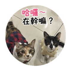 福寶元寶姐妹花