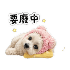 Nnnnnnnnnnnii