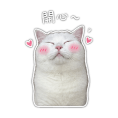 小憨包包