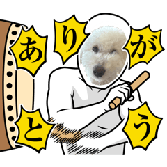 gomao_20260512224154