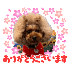 ayatumu_20260512224356