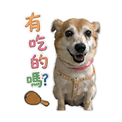 黃ㄚ妞