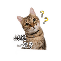 豆豆生活用語