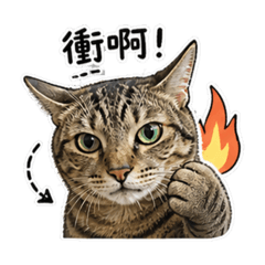 劉毛毛的日常對話