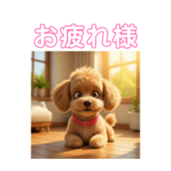 K_20260512230223