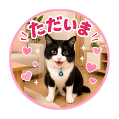 AKI_20260513005321