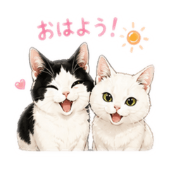 shima002_20260513005409