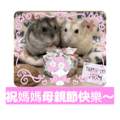Al鼠鼠貼圖—母親節主題～