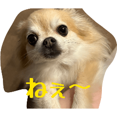 s.k_20260513015657