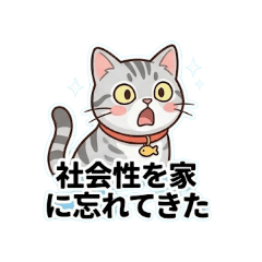 AtoZ_20260513021005