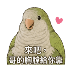 是dumdum呀