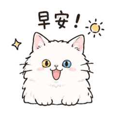 貓咪歐蕾