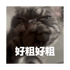 我是顏浩將！