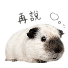粉粿日常對話2＿1