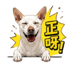 抖宅喂！咩事呀？