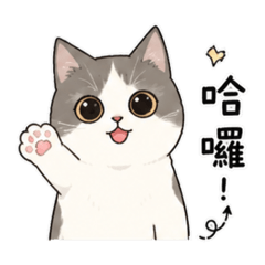萌萌貓咪寶貝