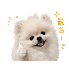 pukumaru_20260512234635