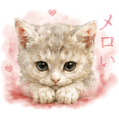 imahage_20260513052729
