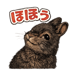 CHAO_20260513055822