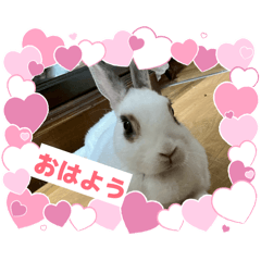 zeke_20260513055602