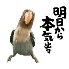 PECHIKO_20260513054226