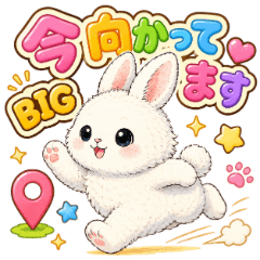 Mofumofu Bunny Meetup BIG