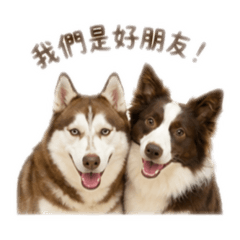 狗生心聲1