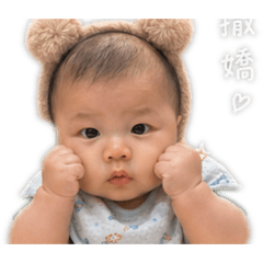 小滷小菲