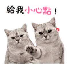 本喵不開心