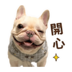 法鬥咪寶的日常