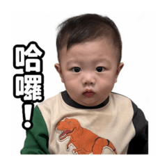 小哈の