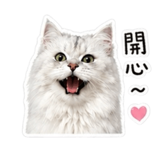 張阿啾