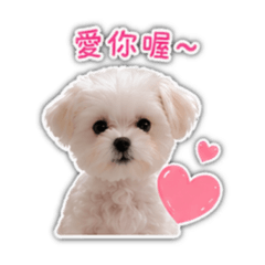 阿呆呆寶寶