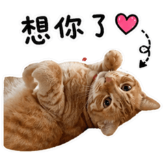 汁汁的耍廢日常