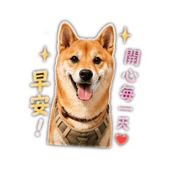 施牛奶