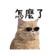 宇弟日常生活