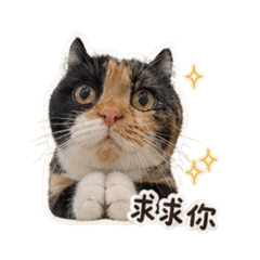 福喜日常第二彈
