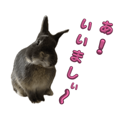 !!_20260513073253