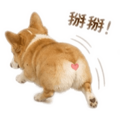 吳柚柚✨