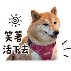 99督導：無力服務中