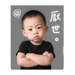 允辰表情包
